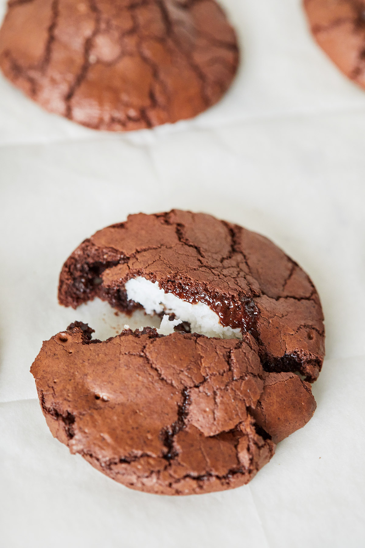 עוגיות בראוניז שוקולד וקוקוס ללא קמח. צילום: טל סיון צפורין